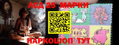 кокс Гатчина