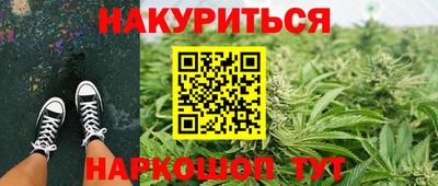 кокс Гатчина
