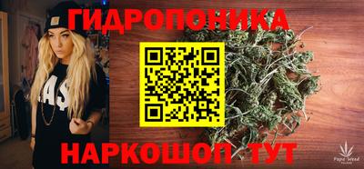 молекула духа Гай