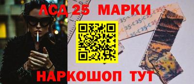 кокс Гатчина