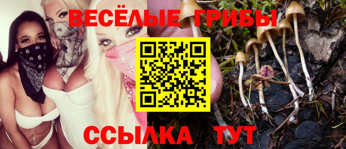 Псилоцибиновые грибы Psilocybe  как найти закладки  Вход с VPN  Донецк  Псилоцибиновые грибы GOLDEN TEACHER 